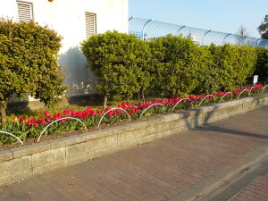 潮田小学生とともに