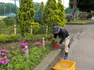 花壇の除草作業①