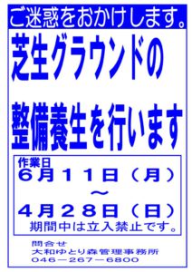 芝生G養生のサムネイル